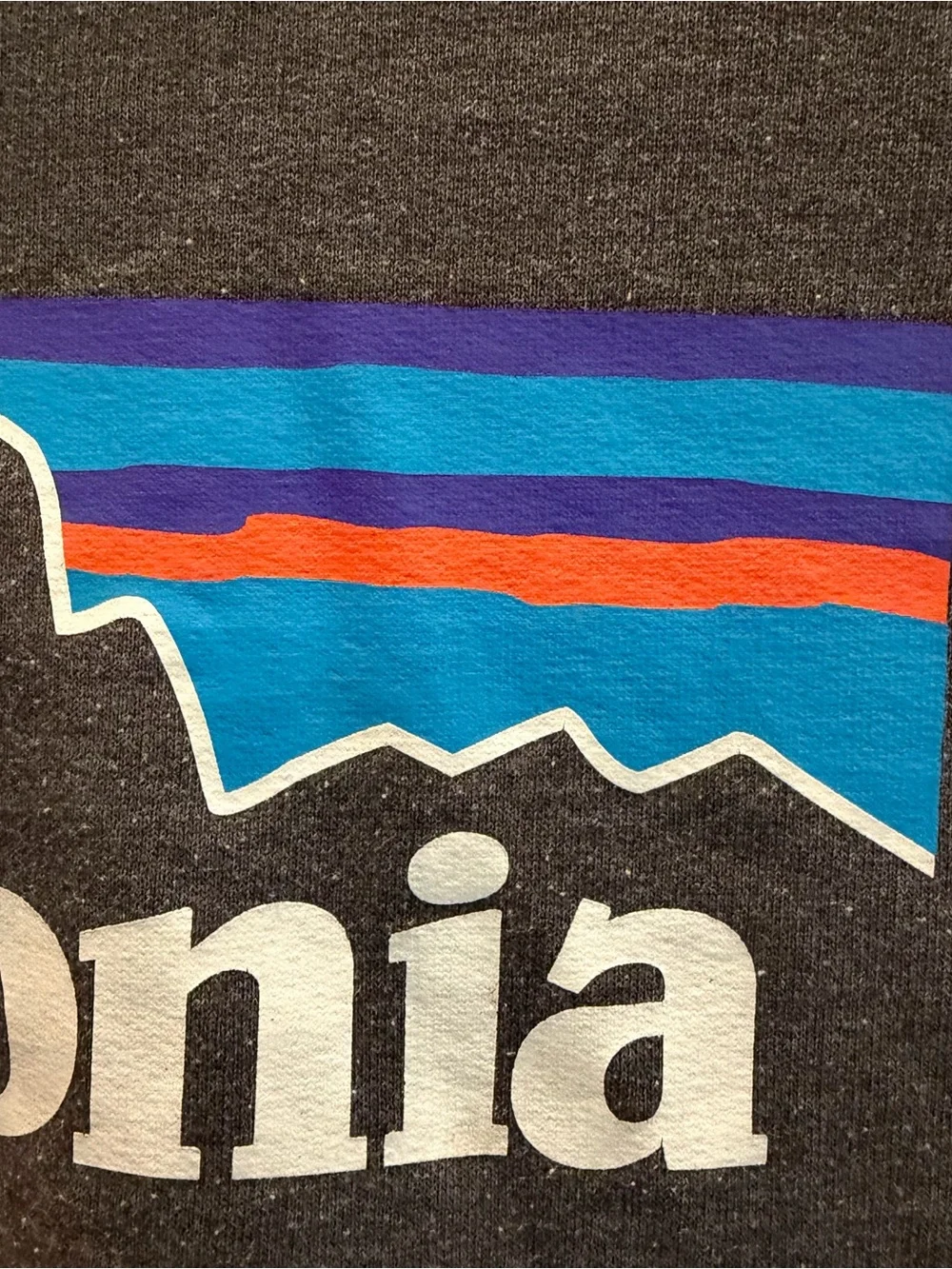 Patagonia Men's Zip-Up Hoodie in Charcoal with Blue Accent Logo